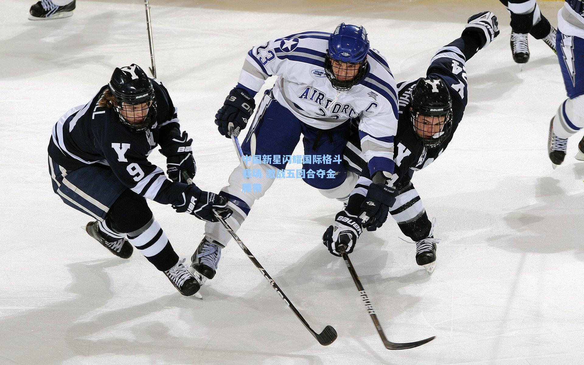 中国新星闪耀国际格斗赛场 激战五回合夺金腰带